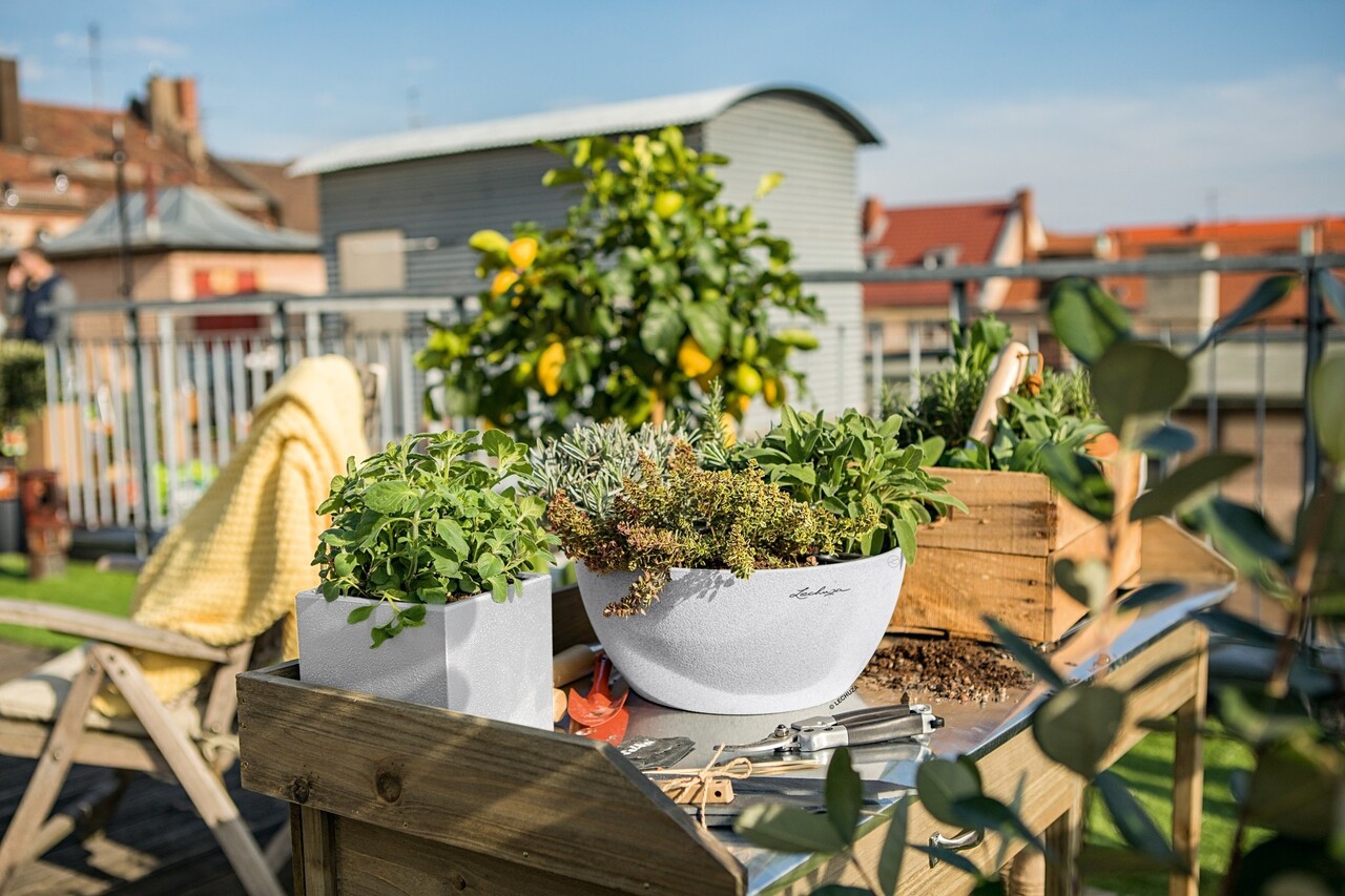 LECHUZA CUBETO Stone quartz white
