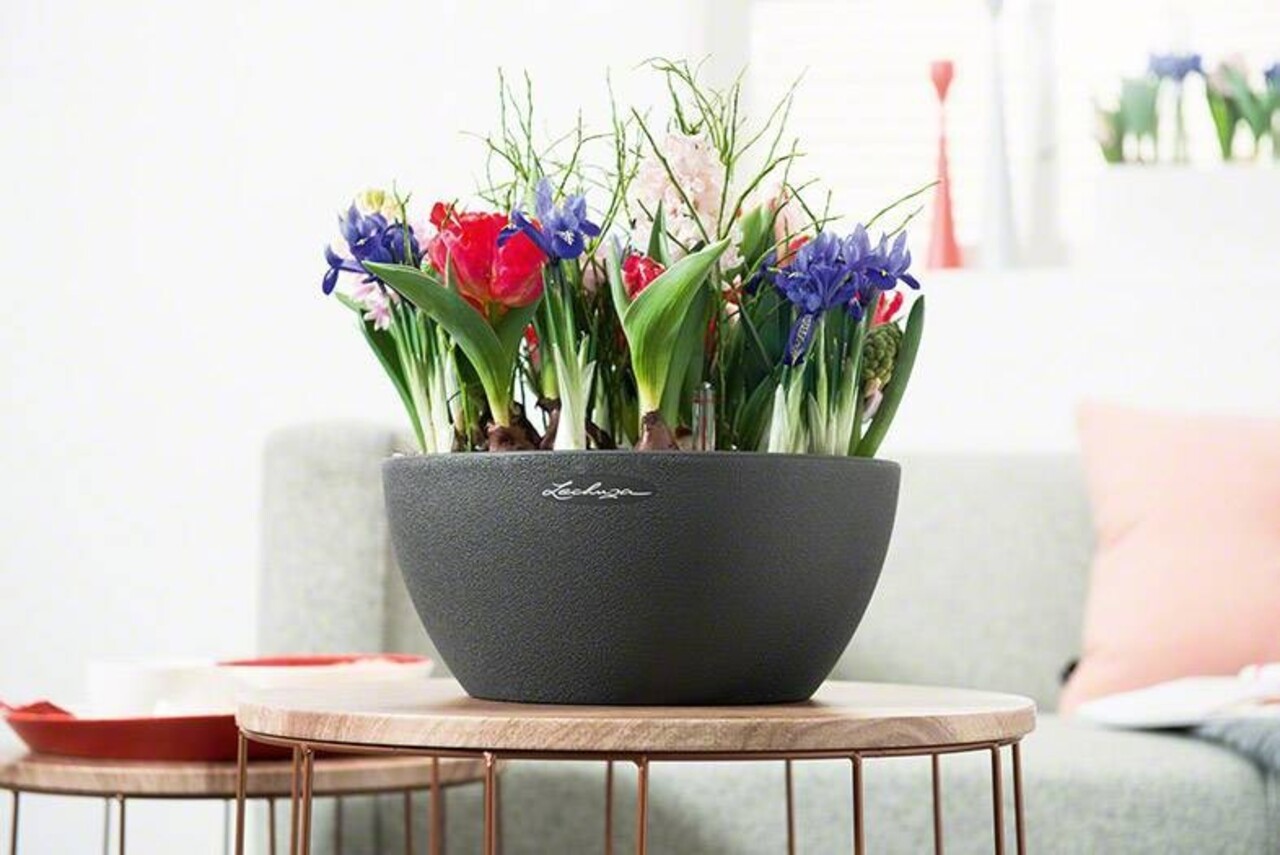 LECHUZA CUBETO Stone noir graphite