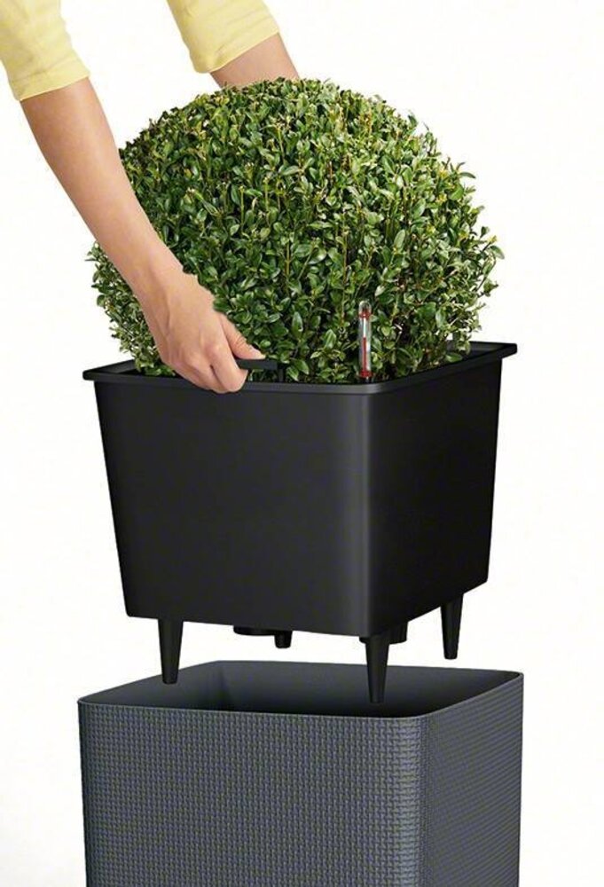 LECHUZA CUBE noir brillant LECHUZA CUBE noir brillant