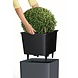 LECHUZA CUBE black high-gloss LECHUZA CUBE black high-gloss