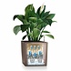LECHUZA CUBE noir brillant LECHUZA CUBE noir brillant
