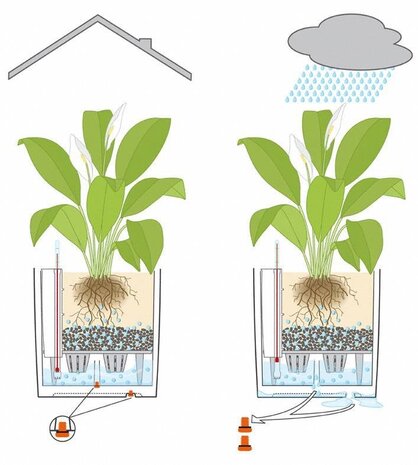 LECHUZA CUBE noir brillant LECHUZA CUBE noir brillant