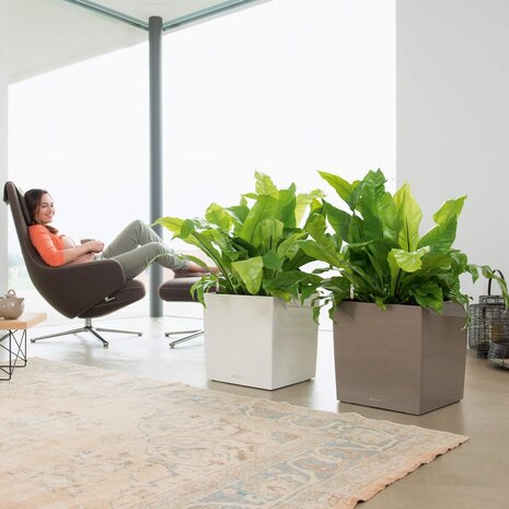 LECHUZA CUBE weiß hochglanz LECHUZA CUBE weiß hochglanz