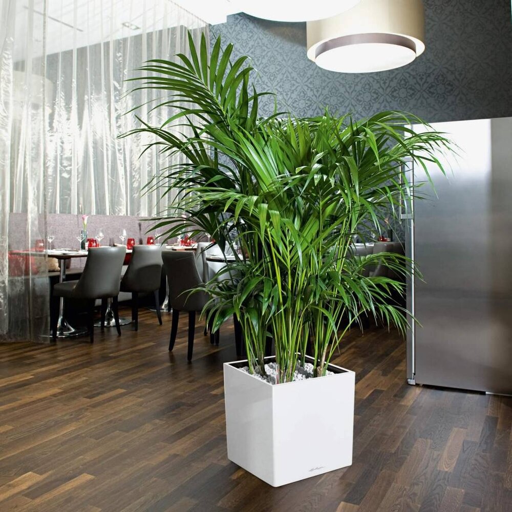 LECHUZA CUBE blanc brillant