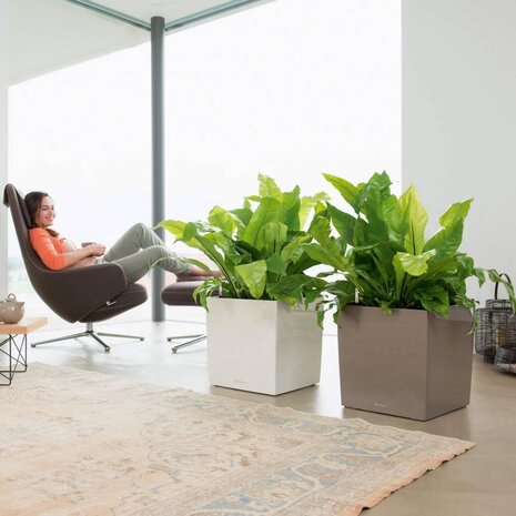 LECHUZA CUBE shiny taupe