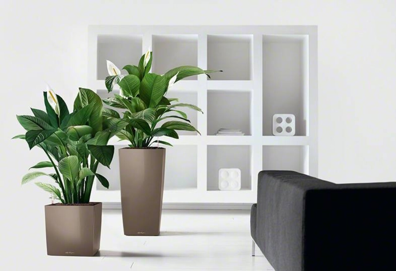 LECHUZA CUBE taupe hoogglans