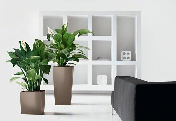 LECHUZA CUBE taupe hoogglans