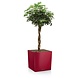 LECHUZA CUBE scarlet red high-gloss LECHUZA CUBE scarlet red high-gloss