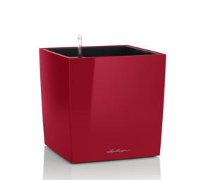 CUBE rouge scarlet brillant CUBE rouge scarlet brillant