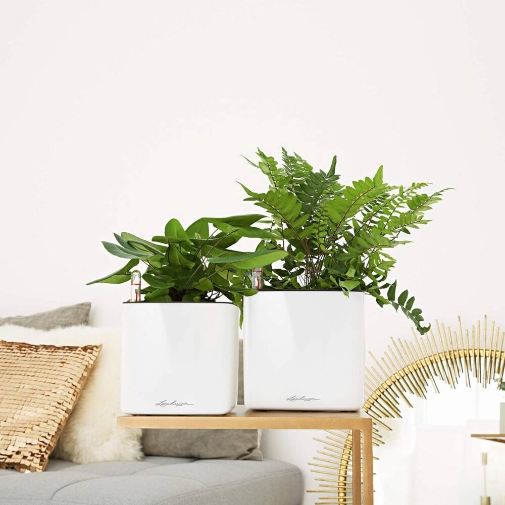 LECHUZA CUBE Glossy white high-gloss