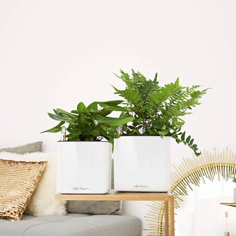 LECHUZA CUBE Glossy weiß highgloss