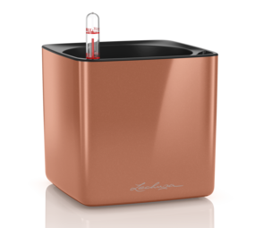 CUBE Brillant épicé cuivre brillant CUBE Brillant épicé cuivre brillant