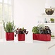 LECHUZA CUBE Glossy scarlet rot highgloss LECHUZA CUBE Glossy scarlet rot highgloss