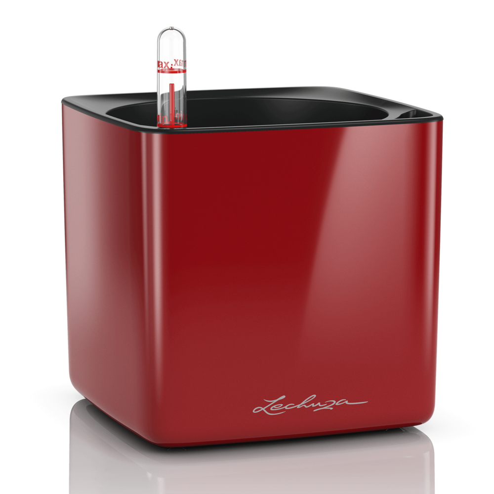 LECHUZA CUBE Glossy scarlet red high-gloss LECHUZA CUBE Glossy scarlet red high-gloss