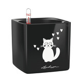 CUBE Glossy Cat schwarz highgloss CUBE Glossy Cat schwarz highgloss