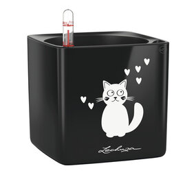 CUBE Glossy Cat noir ultra brillant CUBE Glossy Cat noir ultra brillant