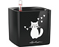 CUBE Glossy Cat zwart hoogglans