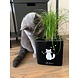 LECHUZA CUBE Glossy Cat black high-gloss LECHUZA CUBE Glossy Cat black high-gloss