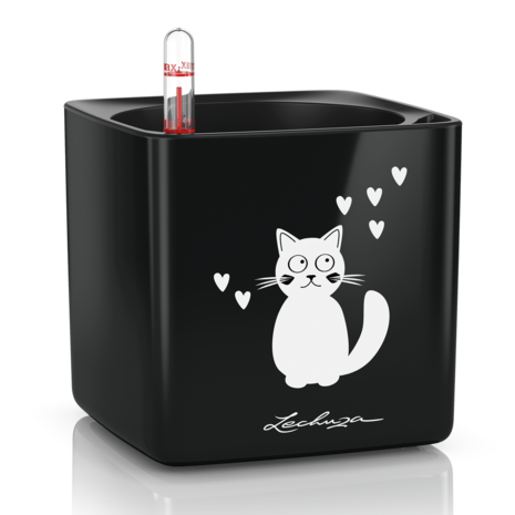 LECHUZA CUBE Glossy Cat noir ultra brillant LECHUZA CUBE Glossy Cat noir ultra brillant