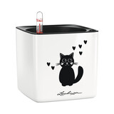 CUBE Glossy Cat blanc ultra brillant