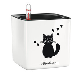 CUBE Glossy Cat blanc ultra brillant CUBE Glossy Cat blanc ultra brillant