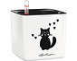 CUBE Glossy Cat weiß highgloss CUBE Glossy Cat weiß highgloss