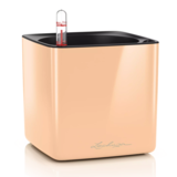 CUBE Glossy apricot high-gloss