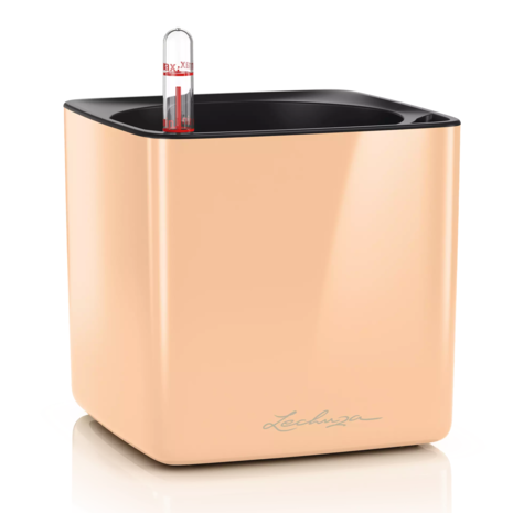 LECHUZA CUBE Abricot brillant haute brillance