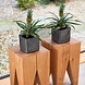 LECHUZA CUBE Glossy charcoal high-gloss LECHUZA CUBE Glossy charcoal high-gloss