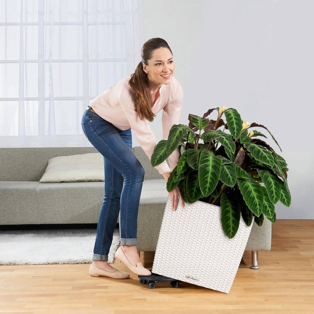 LECHUZA CUBE Cottage white