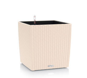 CUBE Cottage vanilla CUBE Cottage vanilla