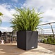 LECHUZA CUBE Cottage vanille LECHUZA CUBE Cottage vanille