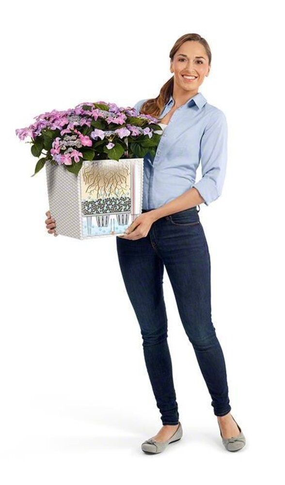 LECHUZA CUBE Cottage vanille