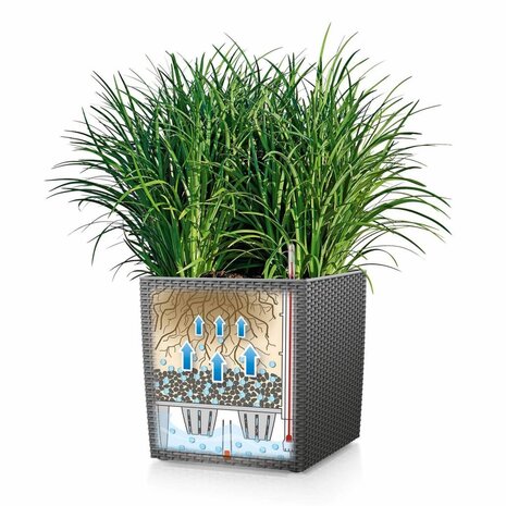 LECHUZA CUBE Cottage argent brilliant