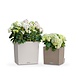 LECHUZA CUBE Cottage light grey LECHUZA CUBE Cottage light grey