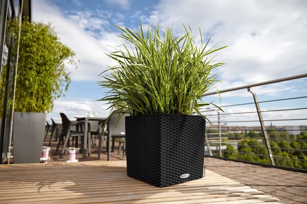 LECHUZA CUBE Cottage graphite black LECHUZA CUBE Cottage graphite black