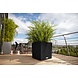 LECHUZA CUBE Cottage graphite black LECHUZA CUBE Cottage graphite black