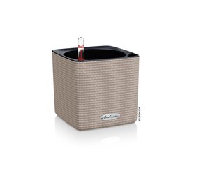 CUBE Color brun sable CUBE Color brun sable