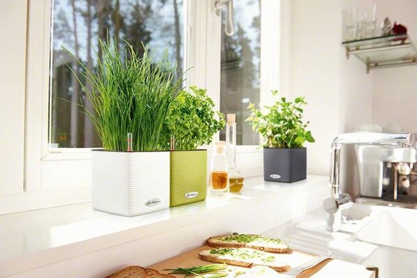 LECHUZA CUBE Color white