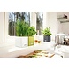 LECHUZA CUBE Color white LECHUZA CUBE Color white
