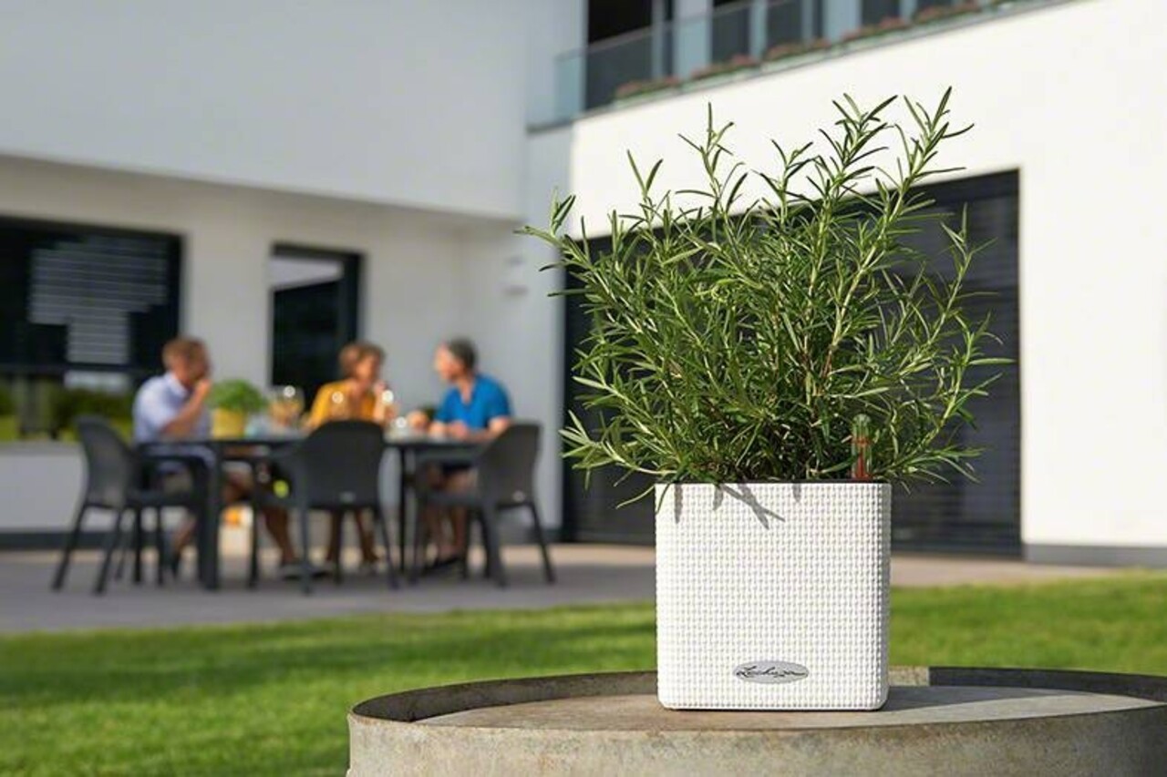 LECHUZA CUBE Color white