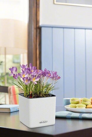 LECHUZA CUBE Color white