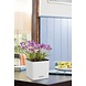 LECHUZA CUBE Color white LECHUZA CUBE Color white