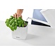 LECHUZA CUBE Color white LECHUZA CUBE Color white