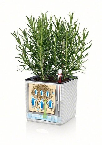 LECHUZA CUBE Color white