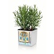 LECHUZA CUBE Color white LECHUZA CUBE Color white