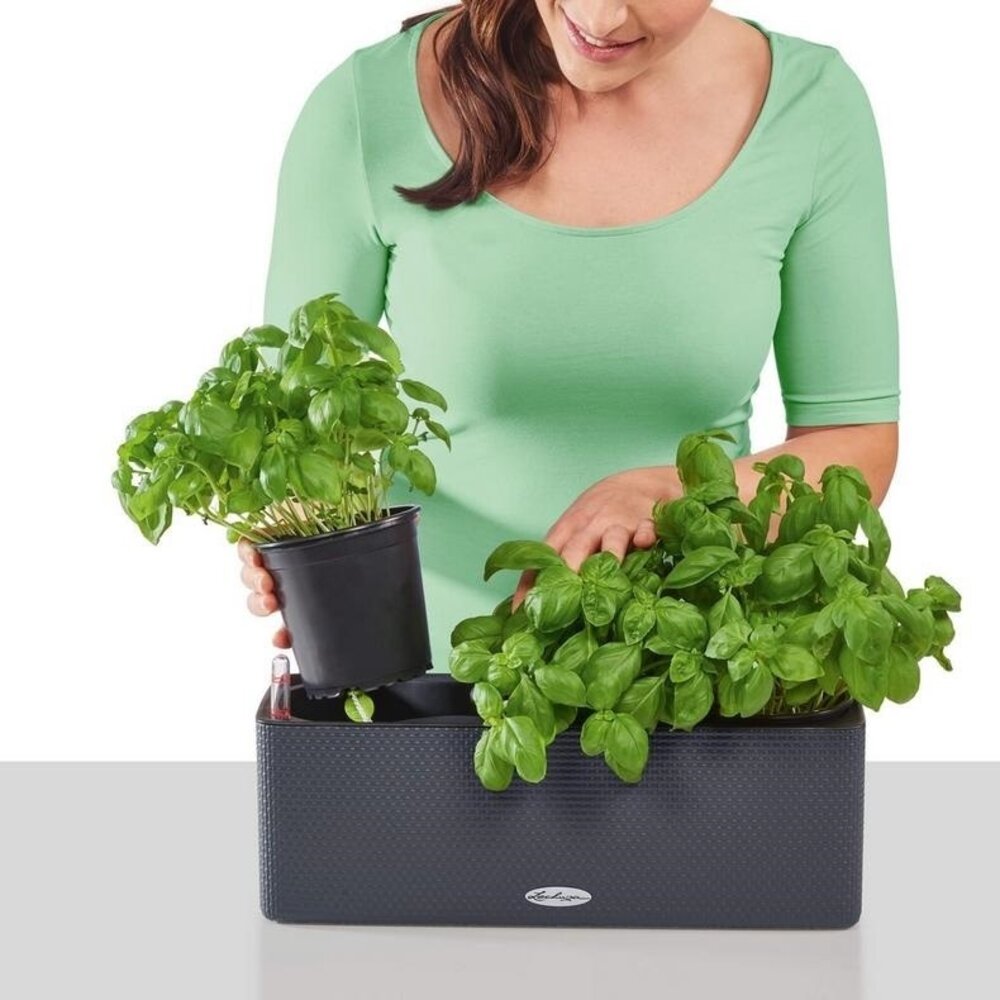 CUBE Color Triple brun sable