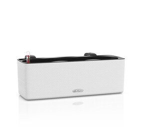 CUBE Color Triple wit