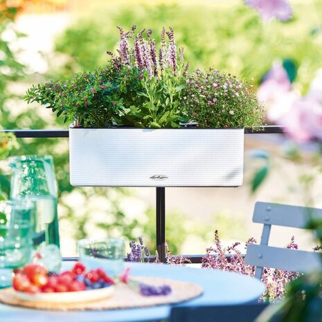 CUBE Color Triple wit