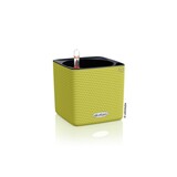 CUBE Color citron vert